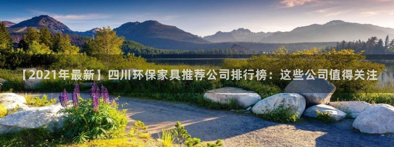 杏耀注册登录官网：【2021年最新】四川环保家具推荐公司排行