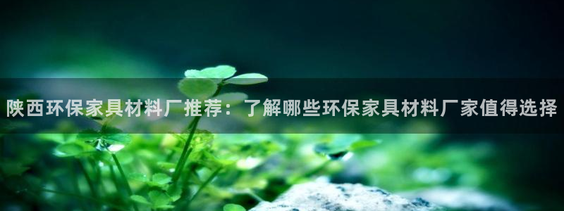 杏耀注册主管：陕西环保家具材料厂推荐：了解哪些环保家具材料厂